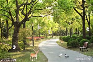 Tranh thiên nhiên in tường đẹp