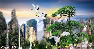 Tranh cây tùng và hạc đẹp