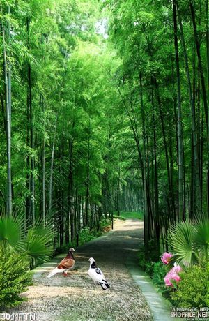 Tranh khổ dọc thiên nhiên rừng trúc