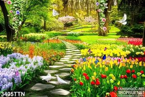 Tranh vườn hoa tulip thiên nhiên mới nhất