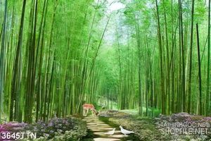 Tranh  thiên nhiên giao hòa 3d những chú hươu trong rừng trúc
