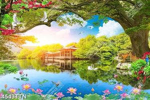 Tranh phong thủy hoa sen file gốc