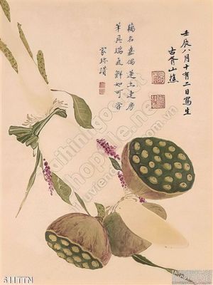 Tranh thư pháp hoa sen độc đáo