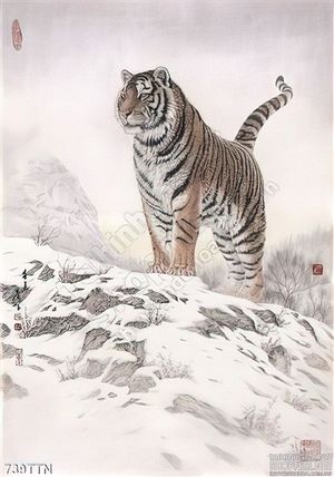Tranh thư pháp con hổ đẹp