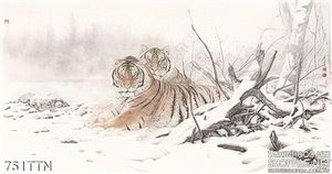 Tranh thư pháp con hổ treo tường đẹp