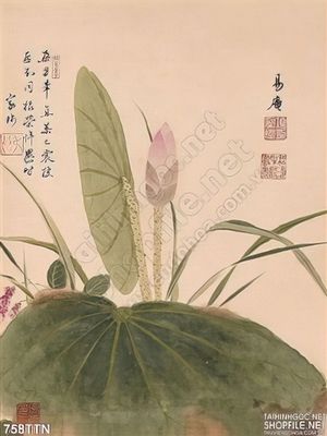 Tranh thư pháp hoa sen phong thủy