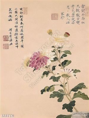 Tranh thư pháp hoa cúc thư pháp đẹp