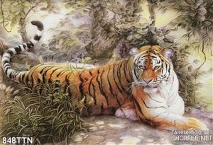 Tranh thư pháp con hổ đẹp