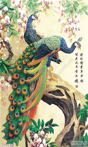 Tranh thư pháp chim công treo tường