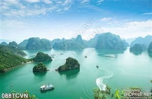 Tranh thắng cảnh Việt Nam Hạ Long