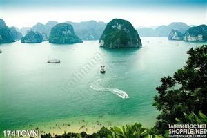 Tranh thắng cảnh Việt Nam Vịnh đẹp