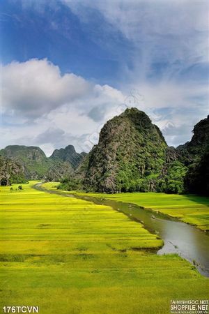 Tranh thắng cảnh Việt Nam Ninh Bình