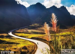 Tranh thắng cảnh Việt Nam miền núi