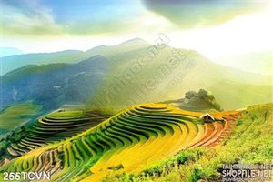 Tranh thắng cảnh Việt Nam miền núi đẹp