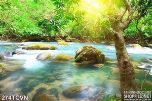 Tranh thắng cảnh Việt Nam thiên nhiên