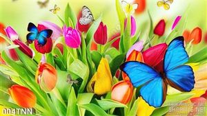 Tranh thiên nhiên hoa tulip trang trí phòng ngủ