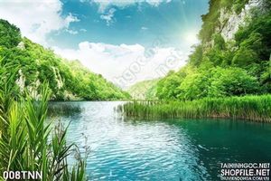 Tranh thiên nhiên và sông nước đẹp độc đáo