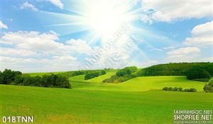 Tranh thiên nhiên trang trí phòng khách đẹp