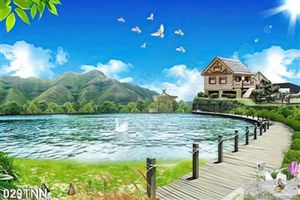 Tranh thiên nhiên và thiên nga treo tường đẹp