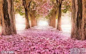 Tranh thiên nhiên rừng cây đào