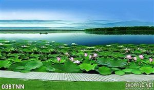 Tranh thiên nhiên hoa sen trang trí phòng khách