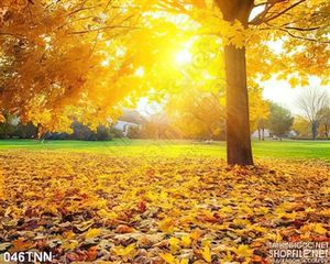 Tranh thiên nhiên mùa thu đẹp độc đáo