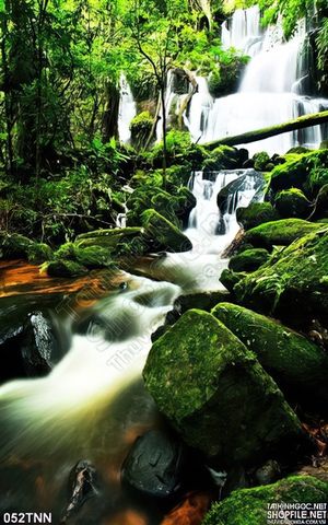 Tranh thiên nhiên suối trang trí đẹp