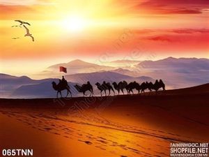 Tranh thiên nhiên sa mạc trang trí tường