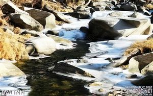 Tranh thiên nhiên trang trí phòng ngủ
