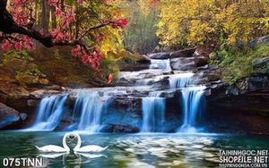 Tranh thiên nhiên thác nước và thiên nga