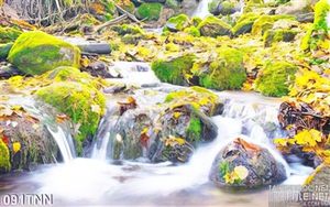 Tranh thiên nhiên và suối nước trang trí tường