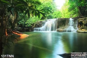 Tranh thiên nhiên trong rừng đẹp độc đáo