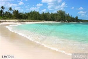 Tranh thiên nhiên biển trang trí đẹp