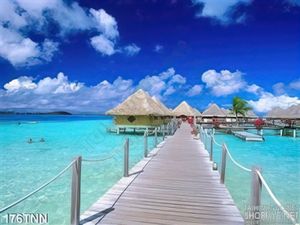 Tranh thiên nhiên biển trang trí treo tường