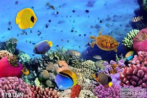 Tranh thiên nhiên đại dương đẹp độc đáo