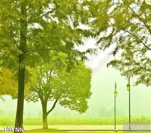 Tranh thiên nhiên trong rừng trang trí đẹp