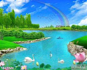 Tranh thiên nhiên hoa sen và cầu vồng
