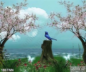 Tranh thiên nhiên chim én mùa xuân trang trí
