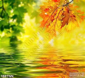 Tranh thiên nhiên mùa thu đẹp trang trí