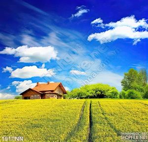 Tranh thiên nhiên thảo nguyên trang trí đẹp