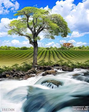 Tranh thiên nhiên trang trí treo tường đẹp
