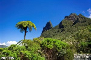 Tranh thiên nhiên trang trí treo tường đẹp