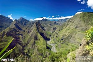 Tranh thiên nhiên trang trí tường đẹp