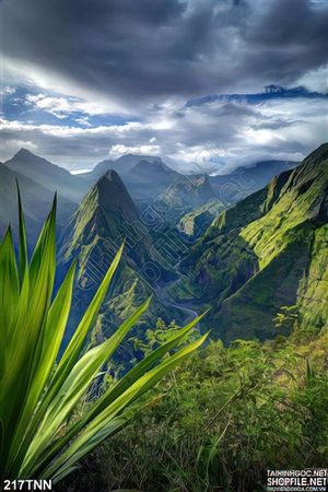Tranh thiên nhiên rừng núi cao