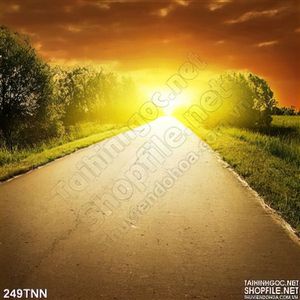 Tranh thiên nhiên con đường trang trí
