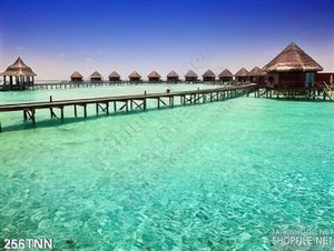 Tranh thiên nhiên và biển đẹp trang trí
