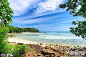 Tranh thiên nhiên trang trí treo tường đẹp