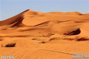 Tranh thiên nhiên sa mạc trang trí treo tường