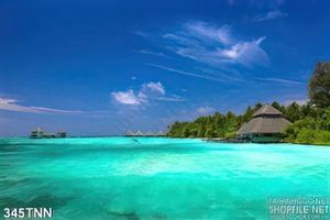 Tranh thiên nhiên biển đẹp độc đáo
