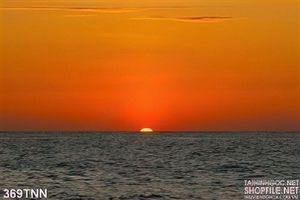 Tranh thiên nhiên bình minh trên biển đẹp